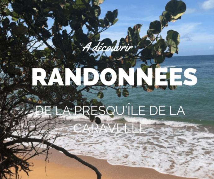 Ananas Premium - Sejour Detente T2 Vue Mer Avec Balcon Prive A Tartane Trinite  Exterior foto
